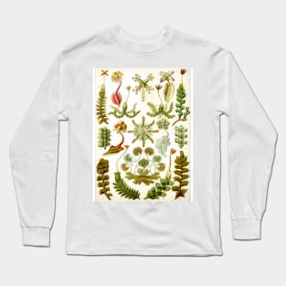 Watercolor botanical vintage Floral minimalist print 2 Long Sleeve T-Shirt